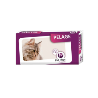 4621_1_produit.png
