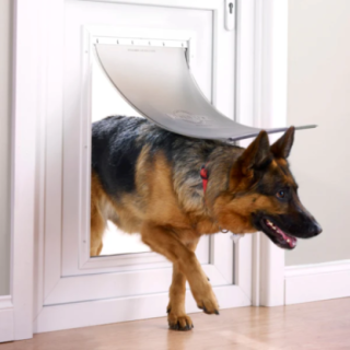 330424_2_330424_insitu.PNG
