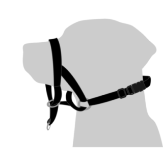 23004_1_produit.PNG