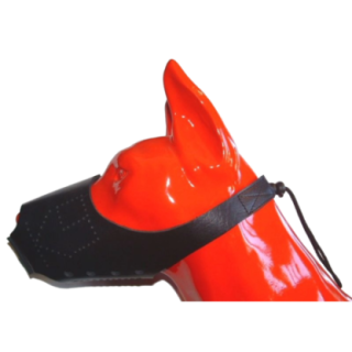 701127_2_701127_insitu.png