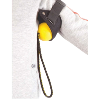 78100_2_insitu.PNG
