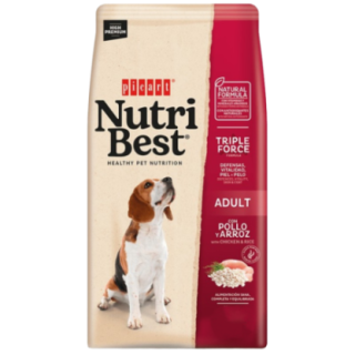 N51172_1_produit.png