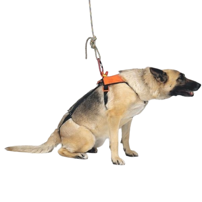 844010_4_insitu.png