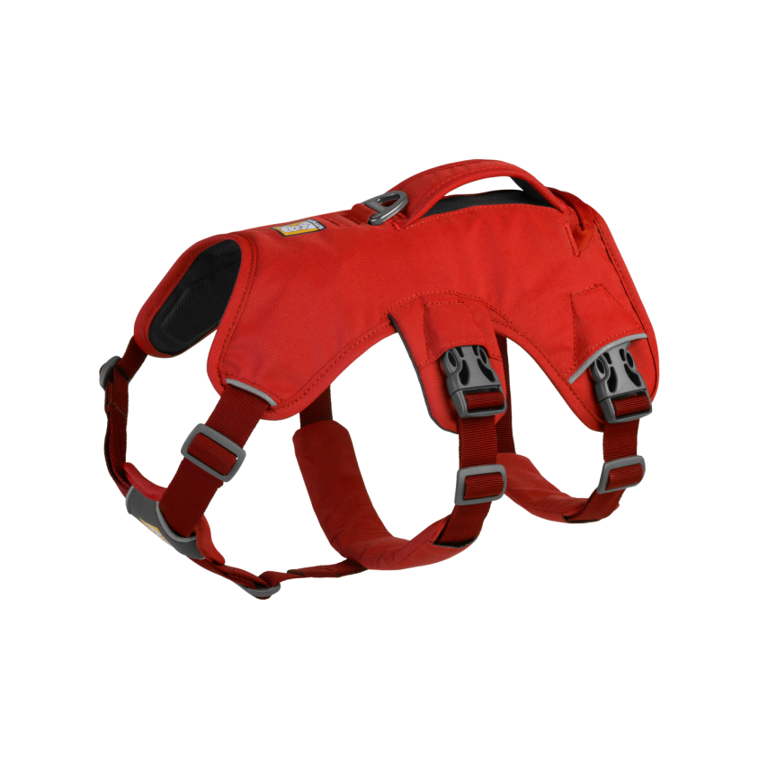 500900_1_produit.png