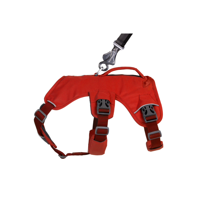500900_4_produit.png
