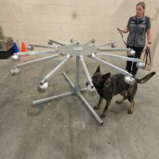 999352_2_999352_insitu.PNG