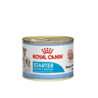 RC2001_1_produit.png