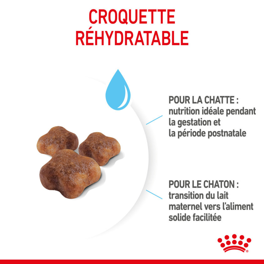 RCF1021_2_produit.jpg