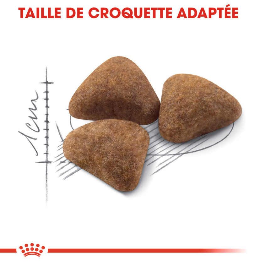 RCF2041_2_produit.jpg