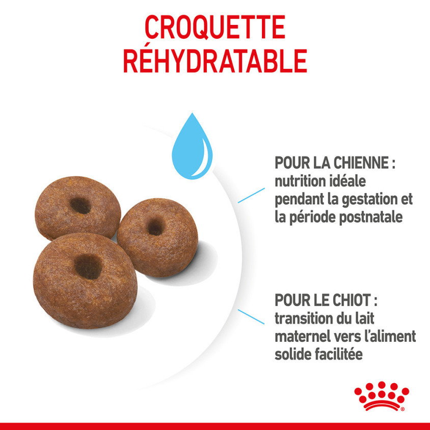RC5004_2_produit.jpg