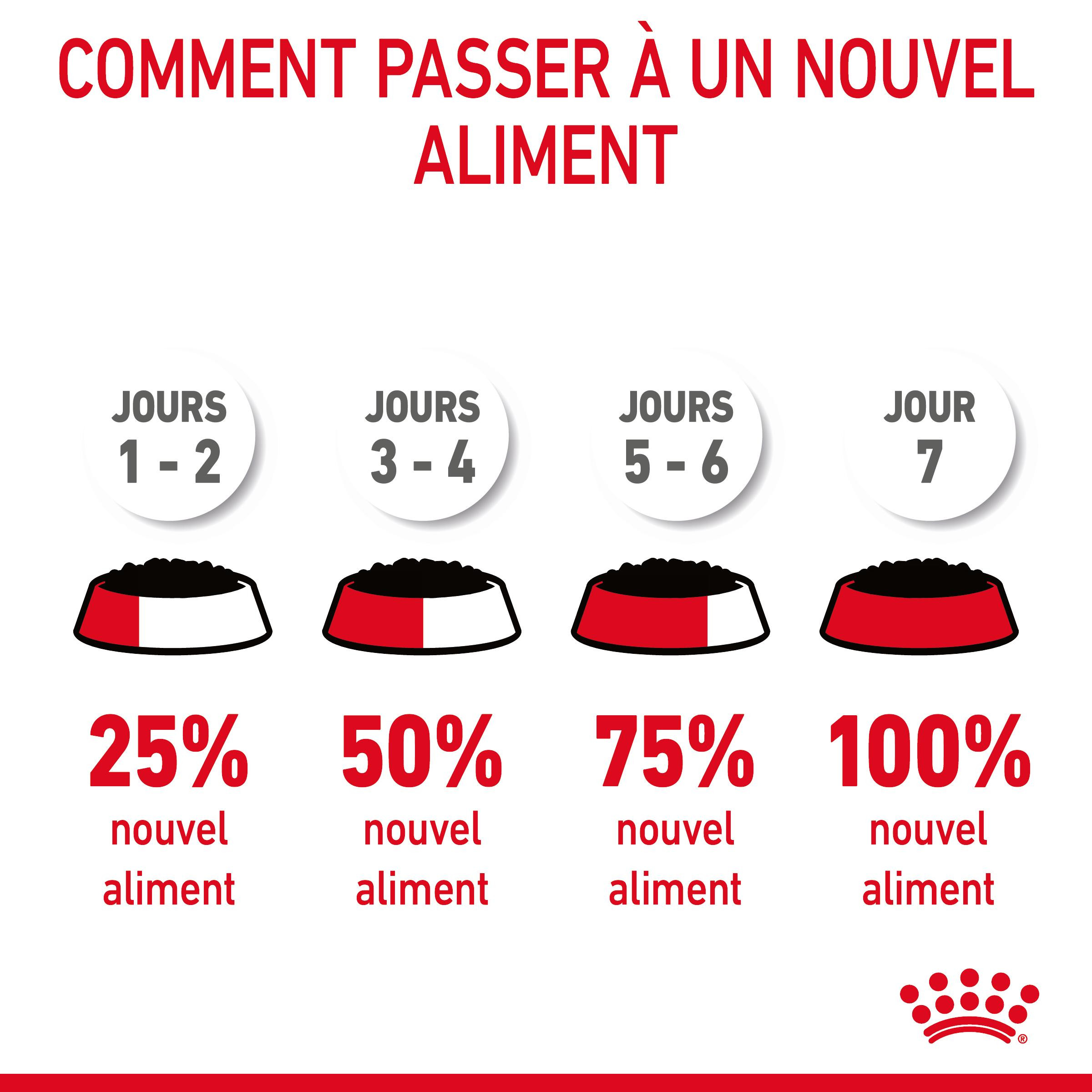 Royal canin sachet fraicheur Intense Beauty gelée - 12 sachets de 85 gr ...