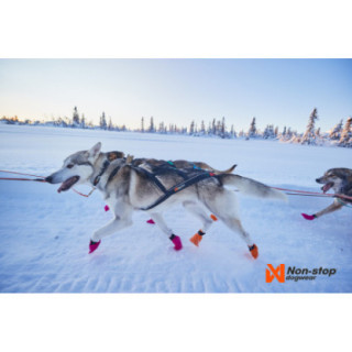 652012_4_652012_insitu.jpg