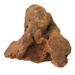 891200_1_produit.PNG