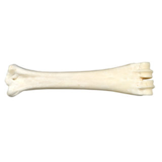 790035_1_produit.png
