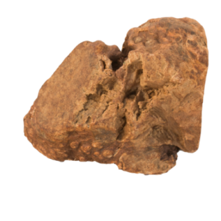 891000_1_produit.png