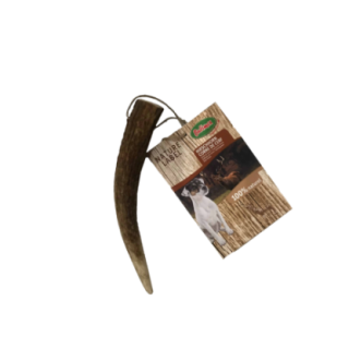 895000_1_produit.png