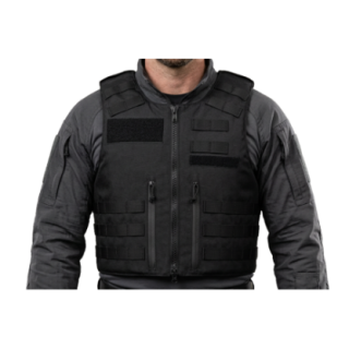 186003_3_insitu.png