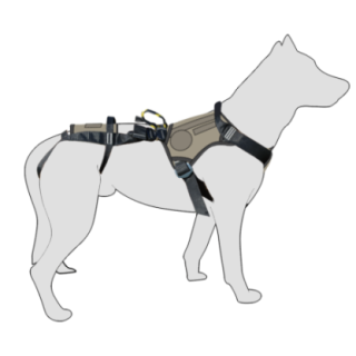 999309_4_999309_insitu.png