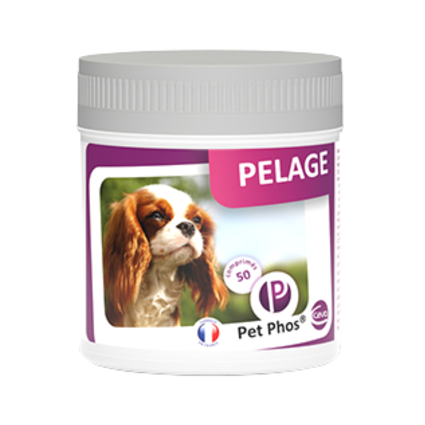 4619_1_produit.png
