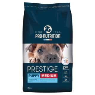 FP4020_1_produit.png