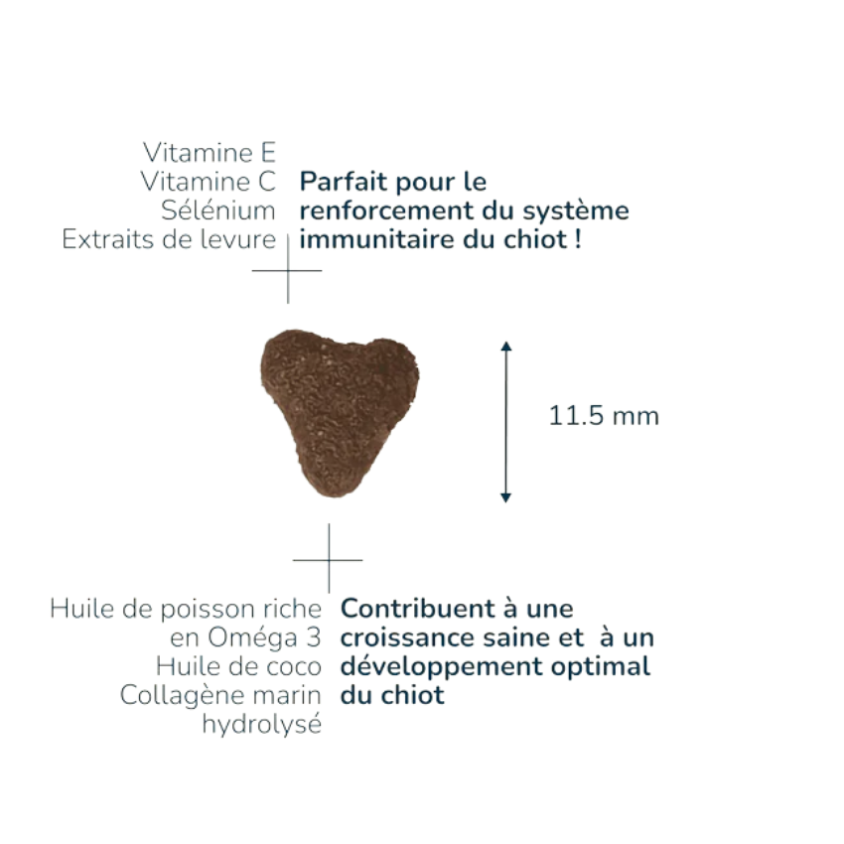 FP4020_2_produit.png