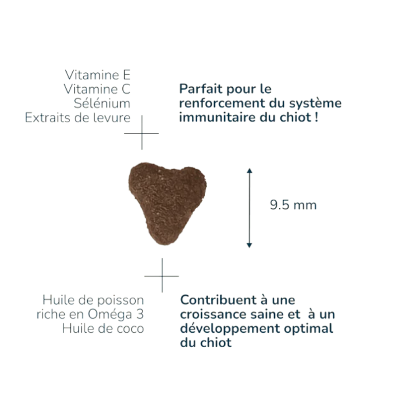 FP4111_2_produit.png