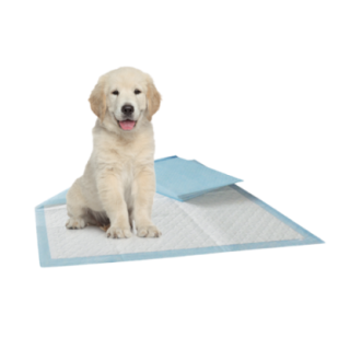 345080_2_insitu.PNG