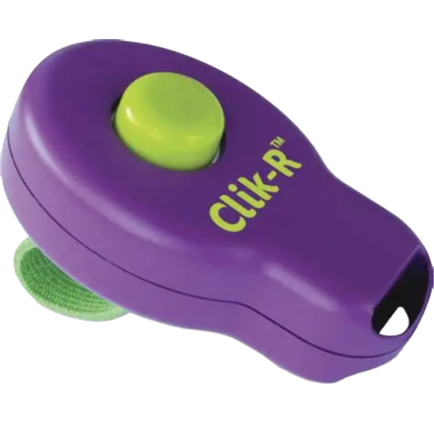 700328_1_produit.png