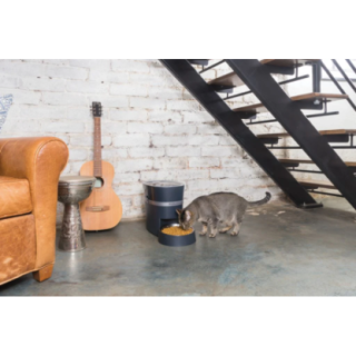 16861_2_16861_insitu.png