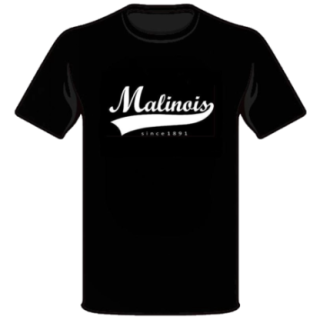 700503_1_produit.PNG