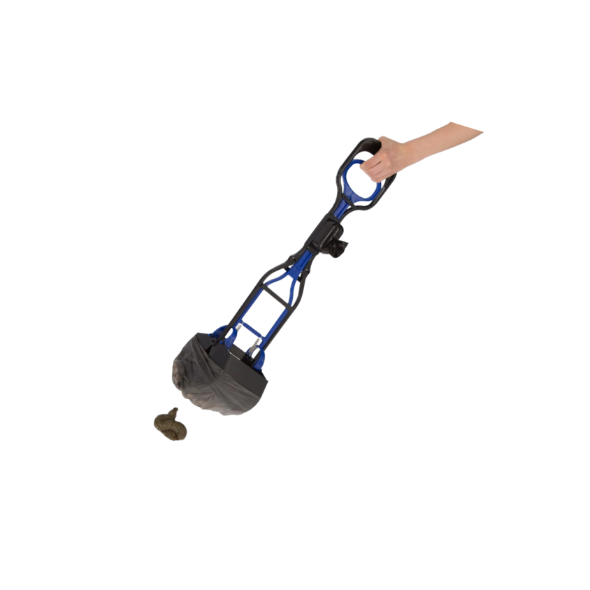 440543_3_440543_insitu.PNG