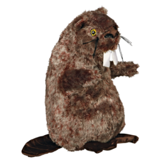 35910_1_produit.PNG