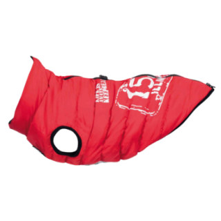 67913_1_produit.png