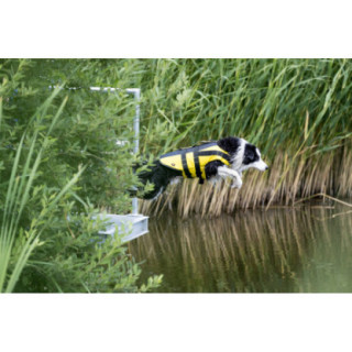 190002_3_190002_insitu.JPG