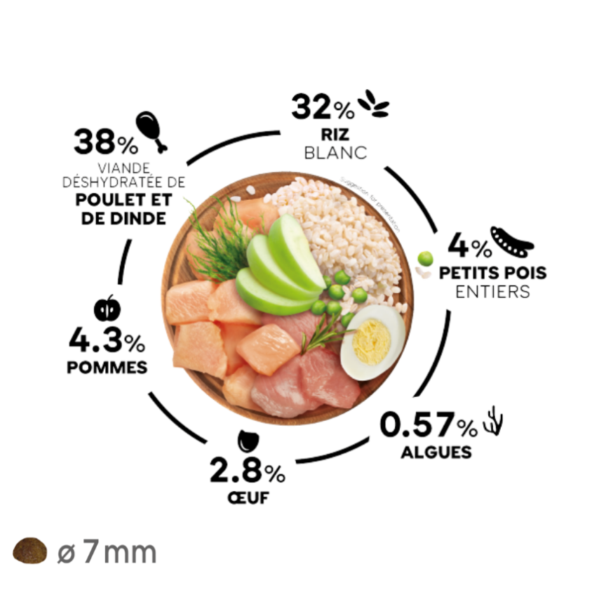 S51387_2_produit.png