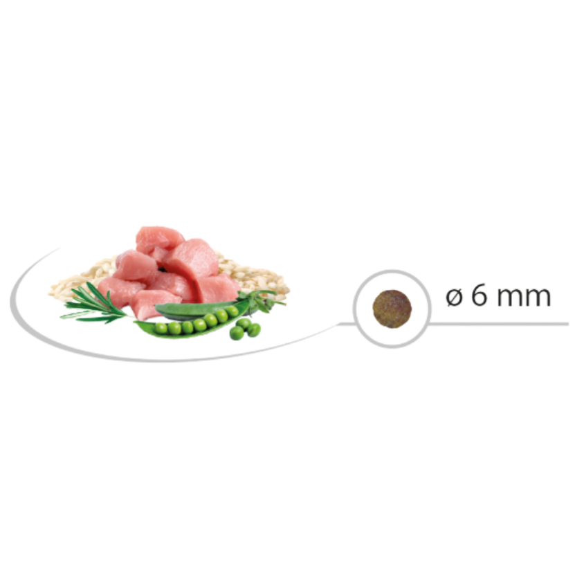 S51349_2_produit.png
