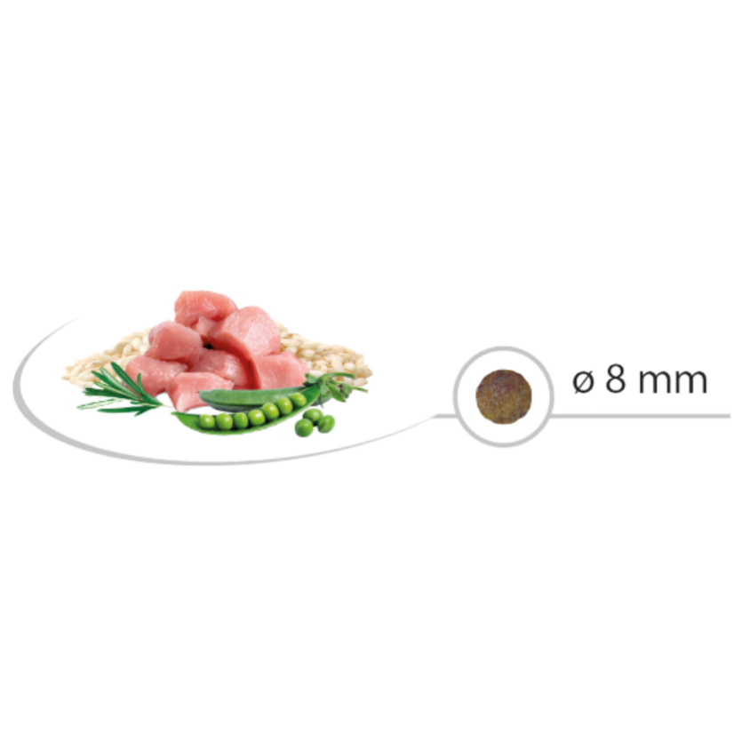 S50656_2_produit.png