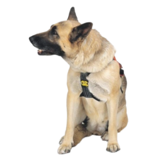844010_2_insitu.png