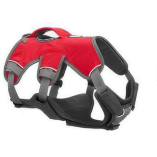 500990_3_500990_insitu.png