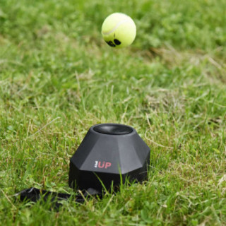 800500_5_insitu.jpg