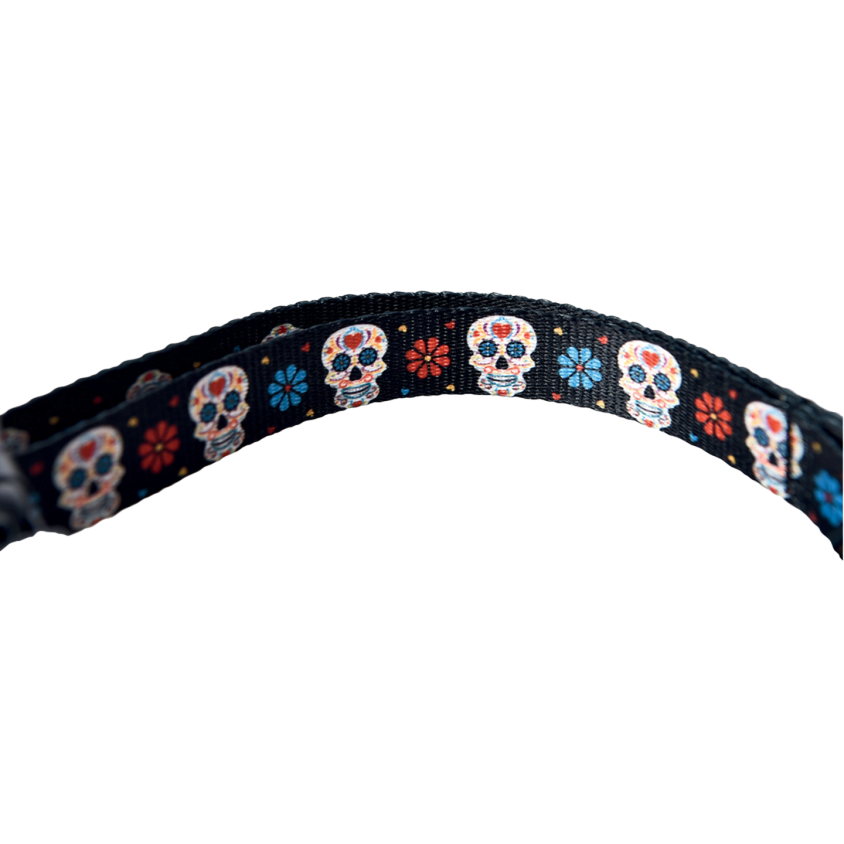 HALLOW1730_2_produit.png