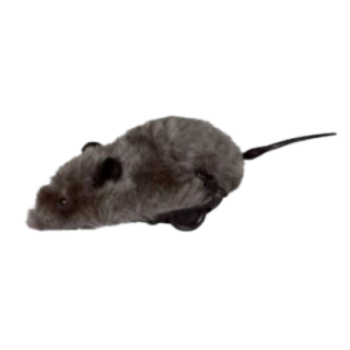 76503_1_produit.PNG
