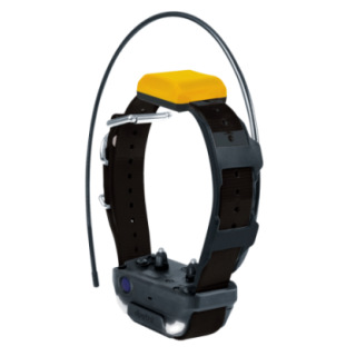 800129n_1_produit.PNG
