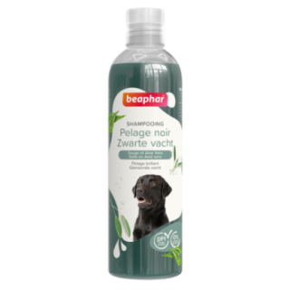 10313_1_produit.png