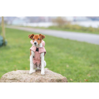 680372_5_680372_insitu.JPG