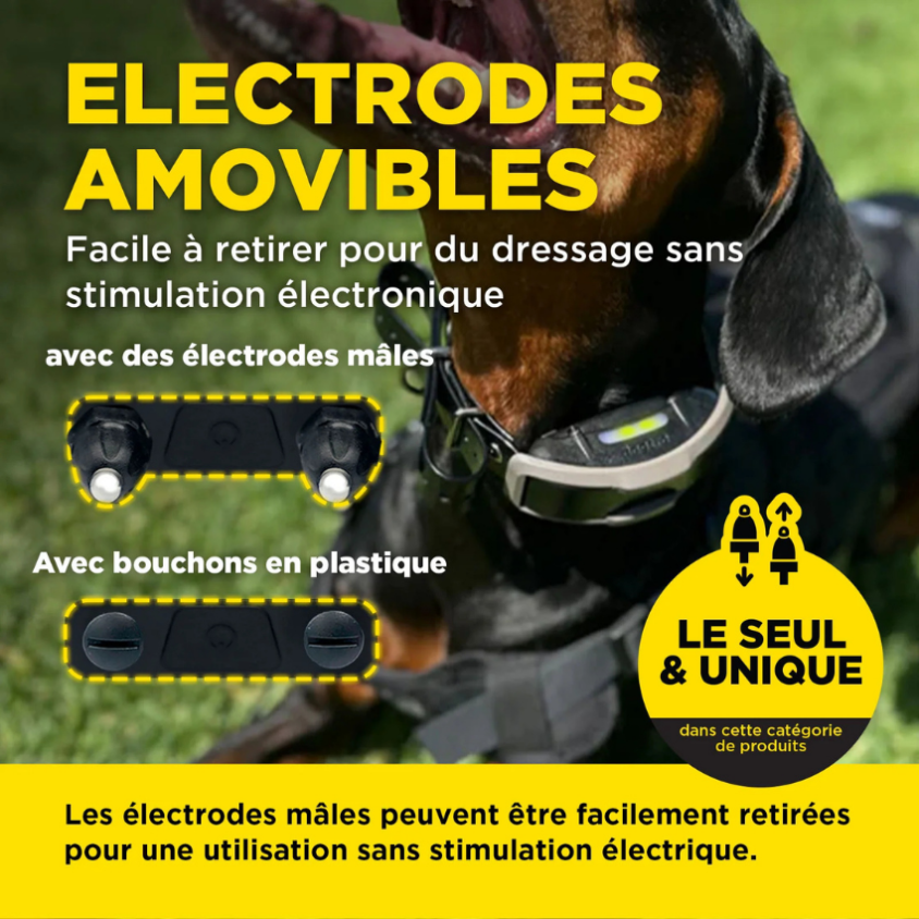 171443_3_produit.png