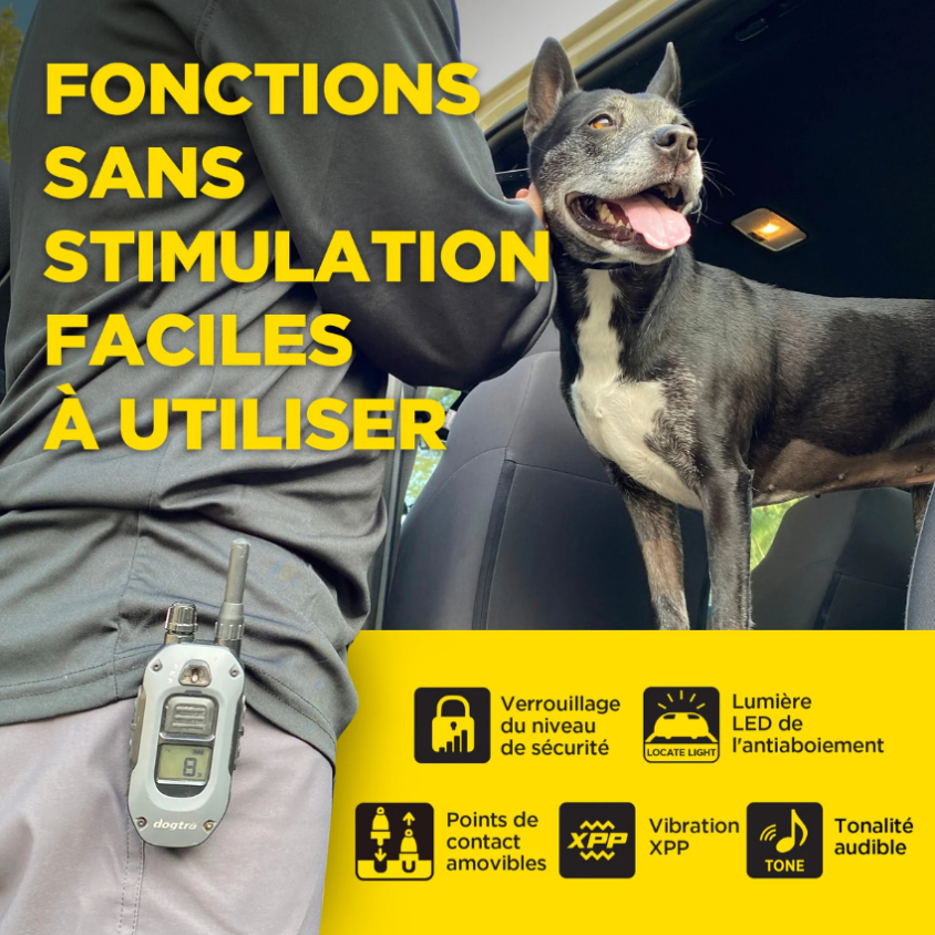 171399_2_produit.png