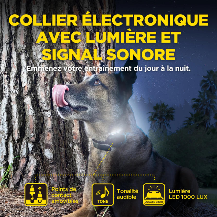 171399_3_produit.png