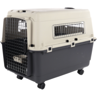 900062_1_produit.PNG