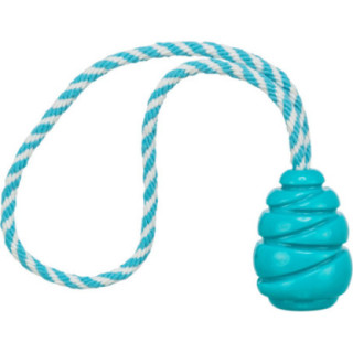 TRIX106311_1_produit.jpg